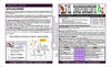 BOLETIN MAYO-JUNIO-FINAL