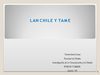 TAME Y LAN CHILE 