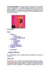 LADY ARISMENDY -CINE