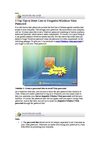 3 Top Tips to Reset Lost or Forgotten Windows Vista Password