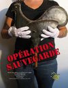 Opération sauvegarde dépliant