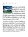 What Belize Real Estate has to Offer