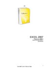 Excel 2007 cursus Thema en Stijlen
