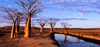 Diaporama%20Fonds%20d%27%C3%A9cran%20-%20ZapWallPapers