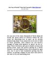 Are You A Florist? Then Get Yourself a Wind Spinner!