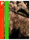 Patrimonio Cultural de España, nº 2, 2009. El Patrimonio Mundial en España: Una visión crítica