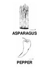 ASPARAGUS(ESPÁRRAGO) Y PEPPER(PIMIENTO)