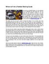 Where to Find a Football Betting Guide