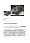 Wassermarder Fischotter Neuweltotter Tiere Animals Natur SelMcKenzie Selzer-McKenzie