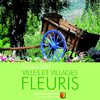 Falicon - Villes et Villages Fleuris 2010