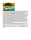 What is Poker Holdem