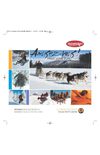 Affiche ''sandwich board'' hiver