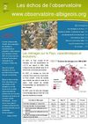 Les échos de l'Observatoire - n° 2