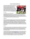 Common Fantasy Football Prizes