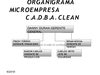 ORGANIGRAMA MICROEMPRESA C
