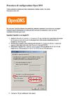 Procedura di configurazione Open DNS