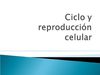 Ciclo y reproducción celular