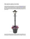 Patio Lights for Lighten up Your Mood