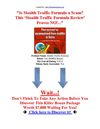 Stealth Traffic Formula Review, Stealth Traffic Formula bonus, 