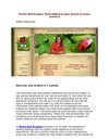 Florida Web Designer WebLadyBug designs custom & unique websites