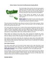 Online Casino: Convenient And Economical Gaming World