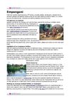 Empangeni Hotel Guide - KwaZulu Natal
