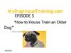 The older dog deserves to be a house trained dog