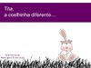 Tita a coelhinha