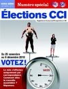Hors série Perspectives : Elections consulaires 2010