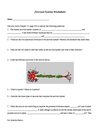 Nervous System Worksheet