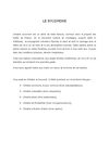 Les chroniques de Toto25: Le Sycomore (livre en ligne)