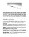International E-commerce Business Tips
