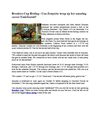 Breeders Cup Betting - Can Zenyatta wrap up her amazing career Undefeated?