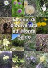 Esempi di biodiversità sul monte Baldo