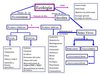 Introduccion de Control de Contaminacion 