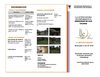 folleto 16 ANIV