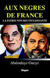 Aux Nègres de France la patrie non reconnaissante, Abdoulaye Gueye
