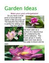 garden ideas