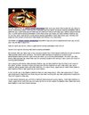 Online Casino Promotion How To Make Sure You Take Home Cash!