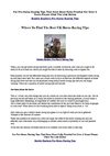 The Best Horse Racing Tips On The Net!
