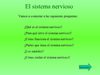 El sistema nervioso