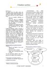 Fiche outil - Analyse Système
