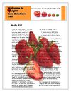 Weight Loss Solutions 360 Media Kit