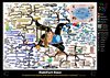 Comfort Zone Mind Map