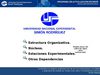 Estructura Organizativa de la Unesr