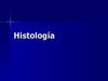 Histologia