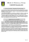 Flash info - Novembre 2010
