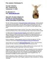 Fine Jewelry Tallahassee FL