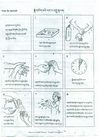 སྐྱེ་གཡོག་མའི་ལག་པ་བཀྲུ་སྟངས། Handwashing for New Mothers...