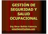 gestiondeseguridadysaludocupacional